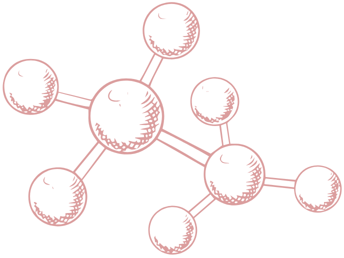 STAAR WorkCorps offers world-class readiness programs for ambitious learners.